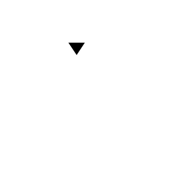 X PRO